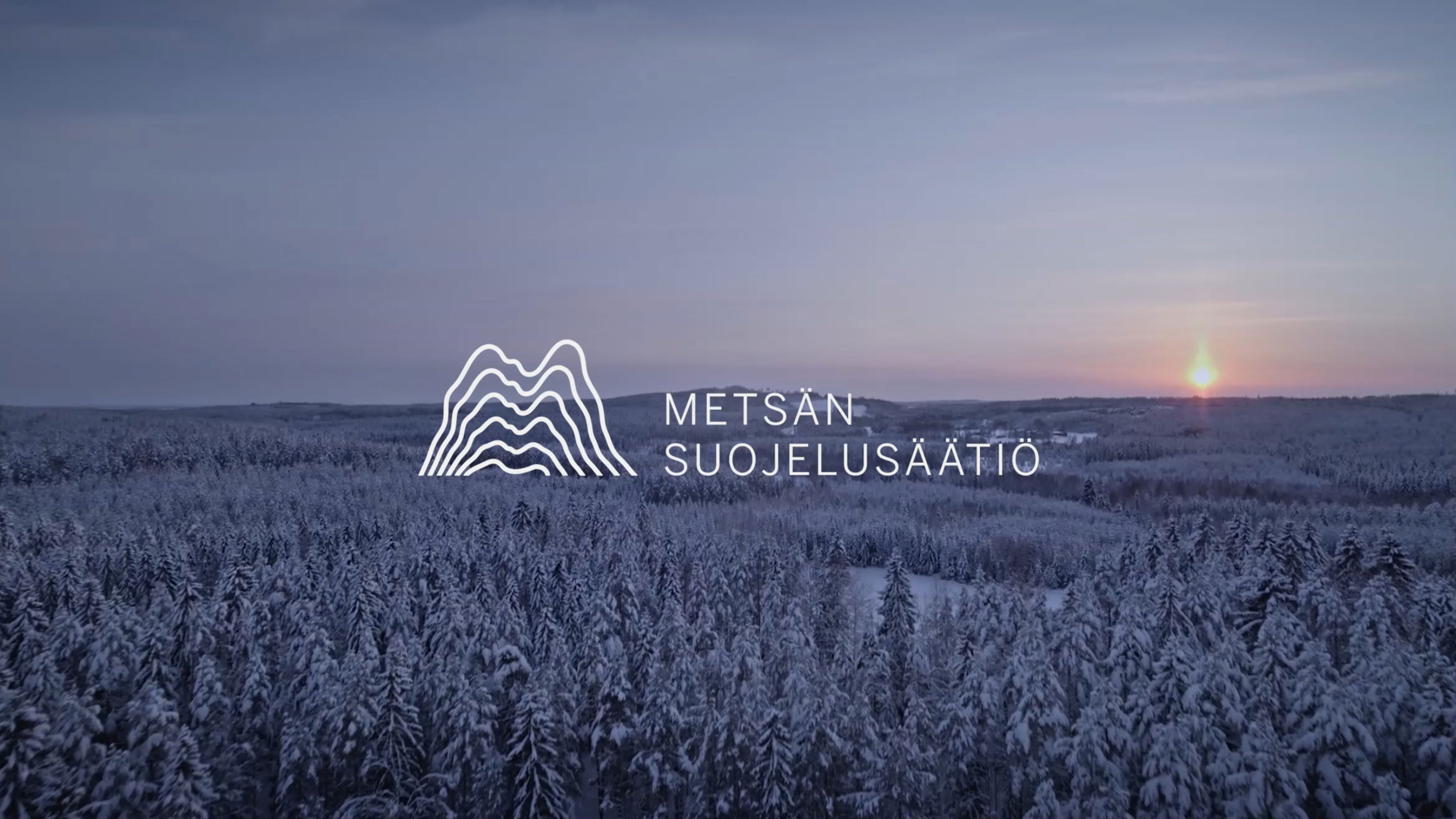 Metsän Suojelusäätiö suojelee monimuotoisuudeltaan arvokkaita metsiä Suomessa